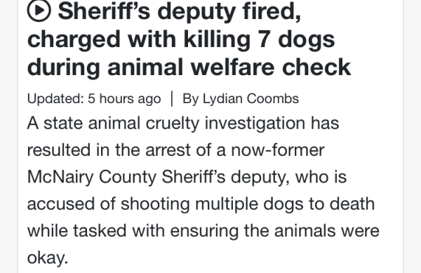 Sheriff’s deputy fired, charged with killing 7 dogs during animal welfare check
Updated: 5 hours ago|
By Lydian Coombs
A state animal cruelty investigation has resulted in the arrest of a now-former McNairy County Sheriff’s deputy, who is accused of shooting multiple dogs to death while tasked with ensuring the animals were okay