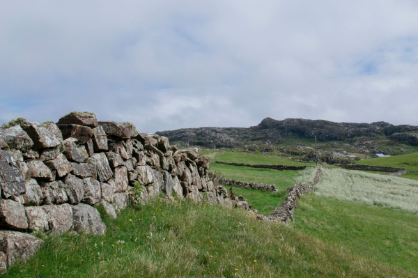 A colour photograph of a drystone wall that disappears into the distance. Surrounded by green grass with a soft blue sky above. 