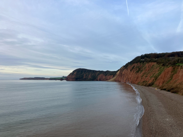 Landscape photo from a high vantage point on a cliff giving a view along a coastline. A calm sea, silver-blue in the winter morning light, washes up gently on a shingle beach on the right. Tall, red sandstone cliffs tower over the beach, curving around to the left and continuing on down the coast. The coastline extends almost all the way across the middle of the view. Coming back to the beach, there is a smallish cliff fall that has deposited a small heap of red sandstone and beyond it a much larger fall of pale greenstone that contrasts with the red. There are warning signs placed on the beach to keep people away. The cliffs show signs of multiple falls and slumps over time - some vegetated, others bare rock. Perched on the wooded cliff top is a thatched cottage, perilously close to the edge now. 
The pale sky is veiled with thin white cloud and the occasional vapour trail.