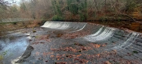 A flood of brown & red trees flanking a weir along a riverside. A shiny new bridge traverses the banks. A splash of blue reflecting in the pool at the bottom of the weir. And you can see the sound the water piling over the weir, a constant white noise