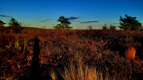 A setting sun illuminates the summit of Buck Hill and creates long shadows.