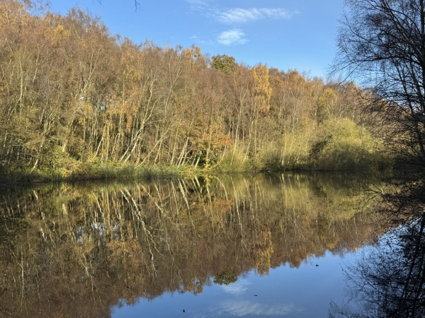 Autumn trees reflected in the still water of a reservoir with blue skies above and reflected in the water 