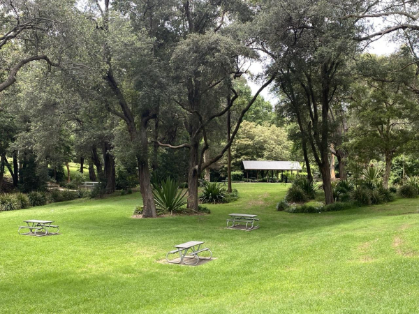 Photo of lush green parkland shaded by tall trees. There are three wooden picnic tables and benches set out invitingly in the grass. In the distance there's a metal roofed shade shelter. Think it's where the public bbqs are.