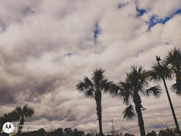 Blue Skies