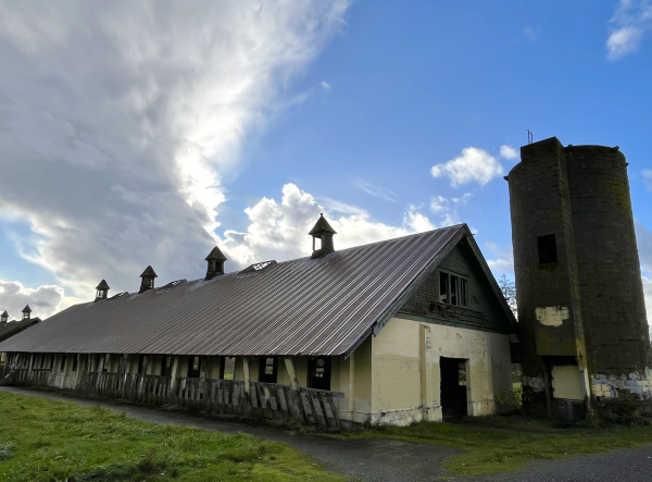 An old building for cows with a silo at its end, tge main structure painted light yellow and the roof corrugated metal, now rusty.