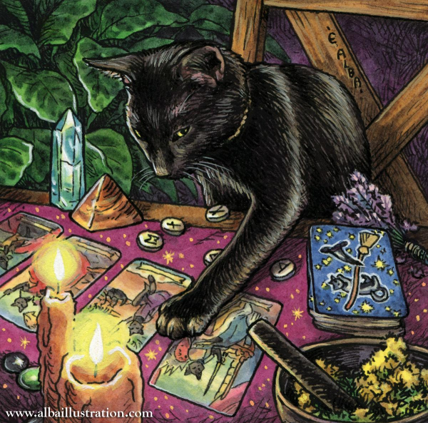 Illustration of a black cat reading a tarot spread on a table, surrounded by witchy items.