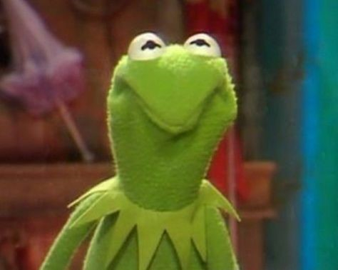 Kermit The Frog looking disgruntled at the poor quality punning in this thread.