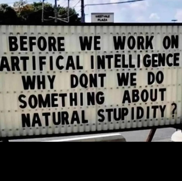 Sign that reads, "Before we work on artificial intelligence why don't we do something about natural stupidity?"