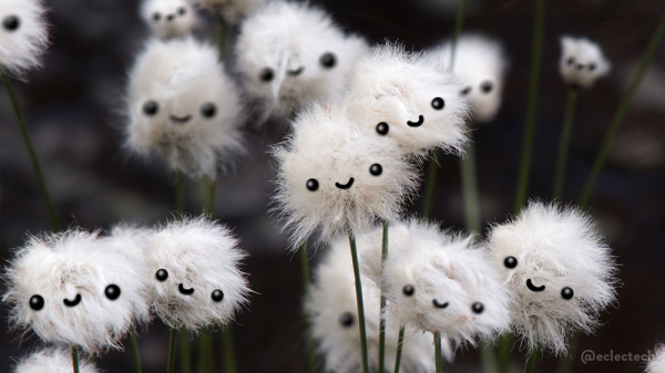 A photo of a field of cotton grass (I think) with tall green stems and balls of pale fluff on top against a dark background. Some are in focus, others blurred. They each have a smiling face drawn on.