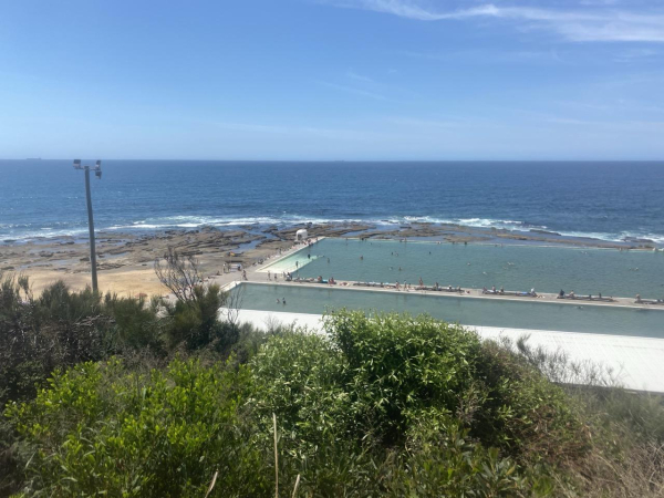 Looking down at both ocean pools at the Merewether Baths on a glorious day. Shrub on the hill in the foreground, white roof of the Baths building, blue-green pools, a rock shelf then blue ocean out to the horizon.  