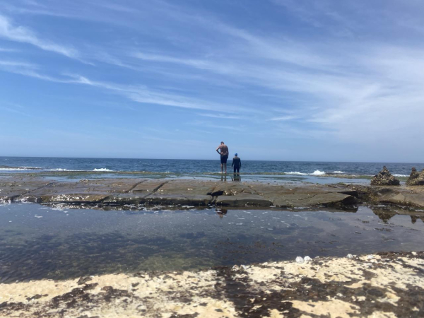 Two guys in swimming gear are standing on the edge of the rock platform behind the back wall of the Baths. It's a sunn day at low tide with no waves breaking, just exposed rock with water filling  large natural pools full of seaweed.