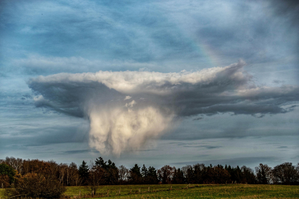 Oberhalb einer Feld und Waldlandschaft steht eine quallenförmige Wolke am Himmel. Sie ist oben eher flach und hat nach unten eine Medusen ähnliche Ausdehnung. 

A jellyfish-shaped cloud stands in the sky above a field and forest landscape. It is rather flat at the top and has a Medusa-like extension towards the bottom.