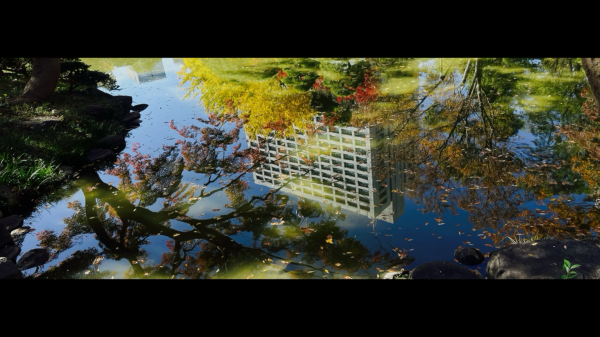 A 65x24 aspect ratio, landscape orientation photo made on my iPhone 12Pro with the 65x24 app.   We’re in Hibiya Park, Tokyo. By the small lake there. This is a photo of a reflection in the lake. We see a building of the nearby court district, yellow gingko trees and orange and red momiji trees. Some leaves are floating on the surface of the water. 