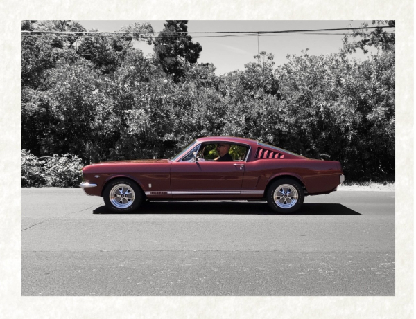 A red mustang sits on the road in front of trees, the background is black & white & only the car is in color. 