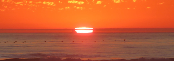 A photograph a sunset over the Pacific Ocean. The sun appears to be cut in half by a cloud. A line of pelicans flies over the water.