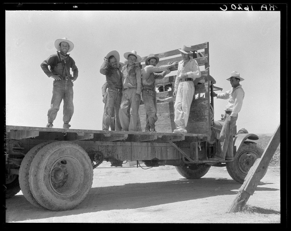 The image is a black and white photograph depicting five men standing on the back of an old, rustic truck. The setting appears to be in a desert-like environment with clear skies above them. Four of the men are wearing cowboy hats, sunglasses or bandannas covering their faces, which suggests they might be protecting themselves from sun exposure while working outdoors. They seem cheerful and engaged as two of them extend arms outwards towards someone outside the frame.

The truck appears to have been used extensively, with visible signs of wear on its surface. The men are dressed in work attire that includes hats for sun protection, long sleeves, pants, boots, and some are wearing belts or carrying items like a bandanna around their necks.

In terms of context provided by the caption "Off for the melon fields (Mexican labor). Imperial Valley, California", this image likely represents Mexican agricultural workers during what seems to be a time when they were employed in harvest-related activities. The specific mention of "Imperial Valley" indicates that the location is within or around the region known as Imperial Valley in Southern California, which has historically been an area where crops like melons are grown.

The individuals appear to have a sense of camaraderie and shared purpose in their work, with expressions ranging from smiling smiles to casual poses. The overall atmosphere conveyed by this photograph reflects a [...]