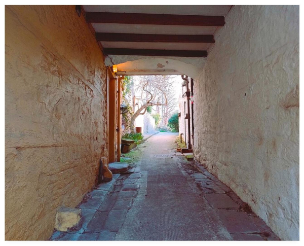 Colour photograph showing the view along an old alleyway with trees in the distance.