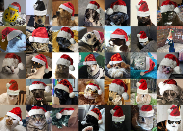 Some of last years Santa hat recipients. An image containing 35 small square photos of a variety of animals in Santa hats.