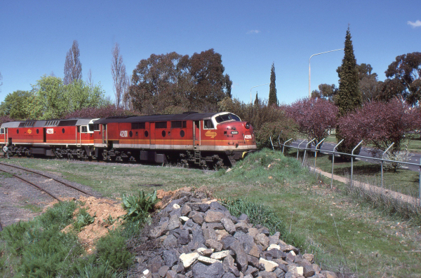 A pair of diesel locomotives, both painted in bright red 'candy' livery, sit coupled together and hard against a buffer backed with a mound of earth.  The loco at the buffers has a streamlined cab with its nose to the buffers.  The second loco is of a boxcab style.  The ground around the tracks is fairly well covered in green grass.  A second track veers towards us in the lower foreground leading to a rocky mound from which this photo was snapped and which forms a barrier to runaways on that track.  Behind the locos are a number of tall green trees, and to the right is a high cyclone wire or chain wire fence beyond which are some flowering street trees and a suburban street.  Above it all is a cloudless, rich blue sky.