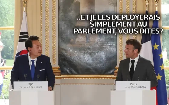 yoon and macron at press conference
macron turns to yoon

"et je les deployerais simplement au parlement, vous dites?"

EN: and i would simply deploy them to the parliament, you say?