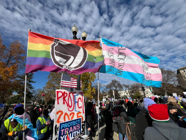 Trans flag, trans antifa flat, anti-Project 2025 sign and Protect Trans Youth sign