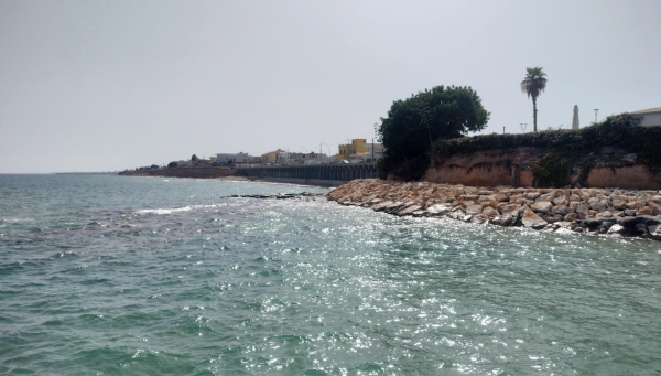 Coast of Avola in Sicily, in the picture it is possible to see the sea, a rocky part kf the coast, and two trees.