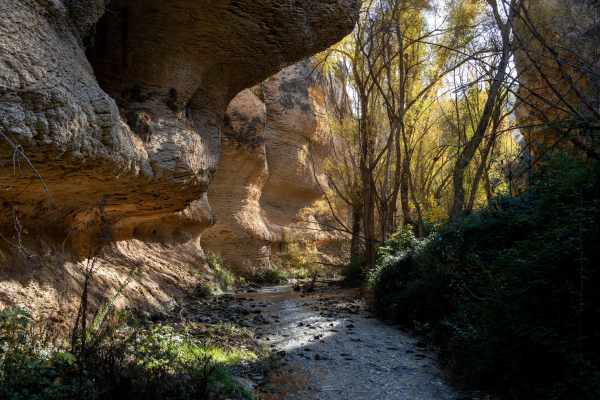 Light comes throughout from too right to bottom left. Autumn colors and dramatic cliffs with a small river running down