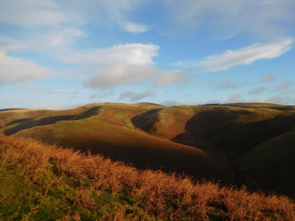 Colour photograph of a hilly landscape. The dominant colour is the bronze of winter bracken. The low sunlight is shining from the right of the picture, throwing the left of the hills into deep shadow. The sky is blue with puffy white clouds.