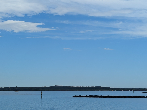 Sailing boats on a river along a mangrove reserve 