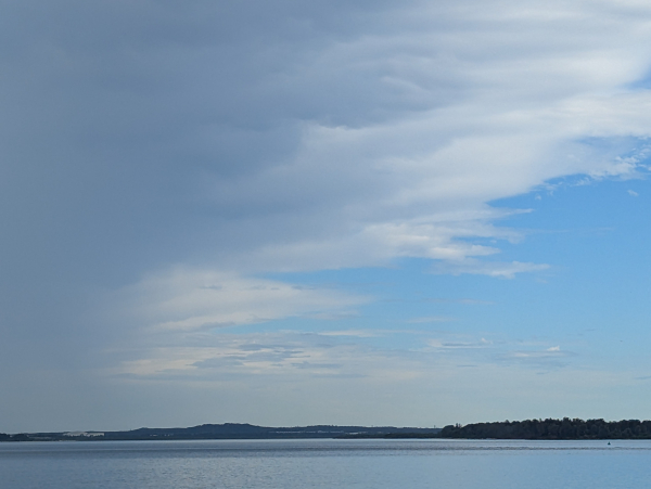 Ocean headland seen from the west behind a riparian mangrove reserve 