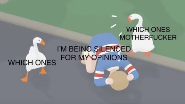 Color block illustration of a child being set upon by 2 angry geese.
Child: I'm being silenced for my opinions
Goose: Which ones
Other goose: Which ones motherfucker