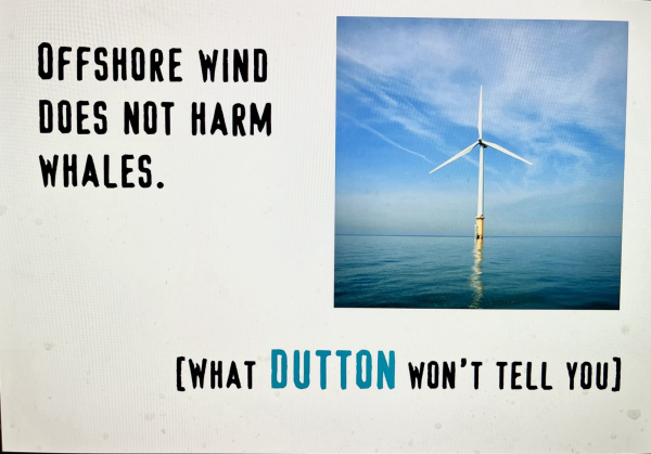 Image of wind turbine in the sea “Offshore wind does not harm whales [what Dutton won’t tell you] 