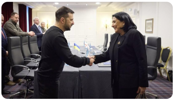 Zelenskyy and Zourabchivili shaking hands in a meeting room in Paris 