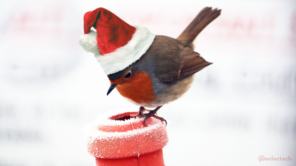 Photo of a small round European robin, with bright red front and face, and brown wings, back and tail. Is is standing on the top of a frosty orange plastic cone, which is is gazing down at, and the background is white with some out of focus very faint marks - text on a local street sign. It is wearing a tall fluffy Santa hat.