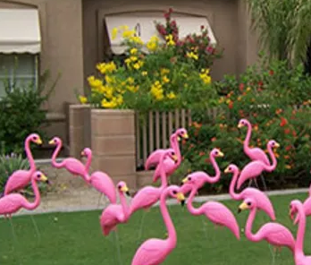 yard full of plastic pink flamingos