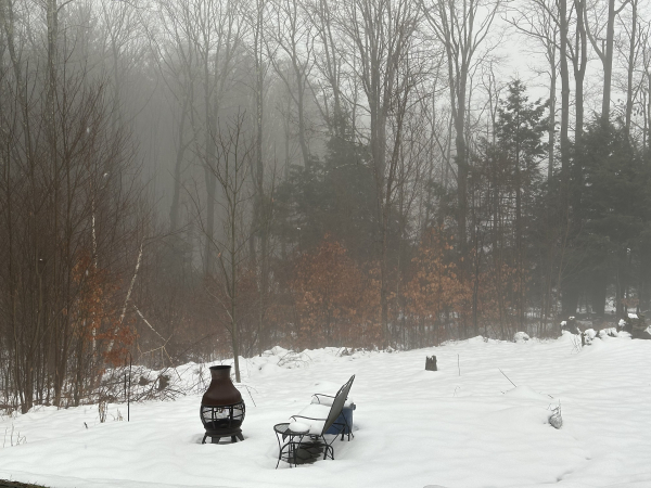 A gray, foggy, rainy day on snow. A snow covered bench sits in front of a chimenea. In the background, fog and mist floats through leafless trees, a few evergreens, and some beech saplings with dead leaves.