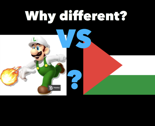 Why Different?
Luigi vs Palestine