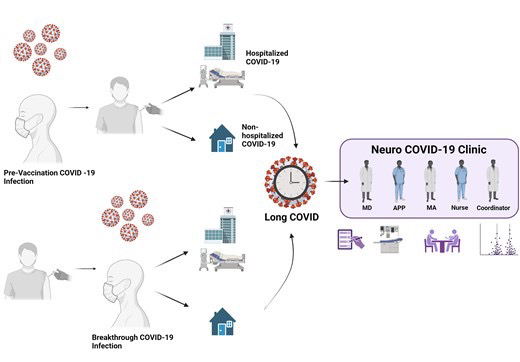 Graphical abstract