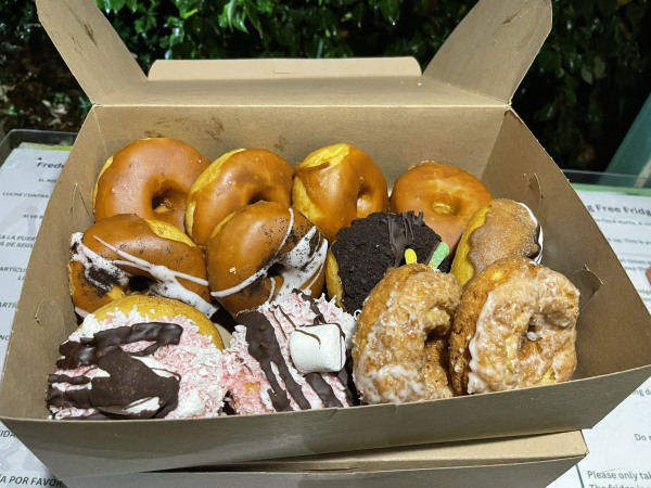 Close up of the donuts. Glazed donuts, apple cinnamon, cookies and creme, I'm salivating