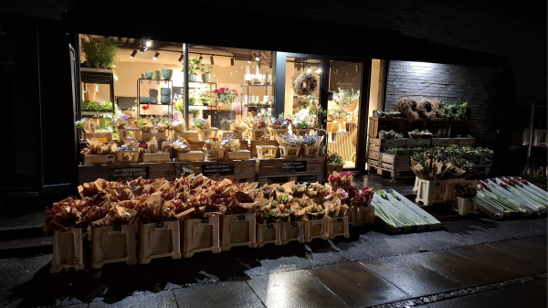 A florist in a mixed-use residential area in the centre of Aarhus, Denmark, at night, hours after it closed. The street is wet with rain and pitch dark, but the florist is all lit up inside with lots of flowers and candles and plants. Outside on the street, dozens of buckets and pallets with gorgeous fresh flowers, Christmas wreaths, plants and potted trees. There are signs say Selvbetjening (Self-service) with the number for the national Danish digital cash payment system MobilePay) so anyone with a phone can take something and pay. (Before someone points it out: Yes, people who don’t use the app can’t purchase when shops like this are closed, but they can buy there during opening hours.) 