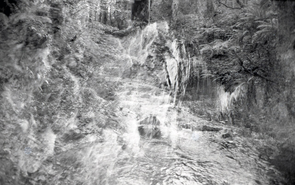 Black and white photograph. A double exposure in the woods.