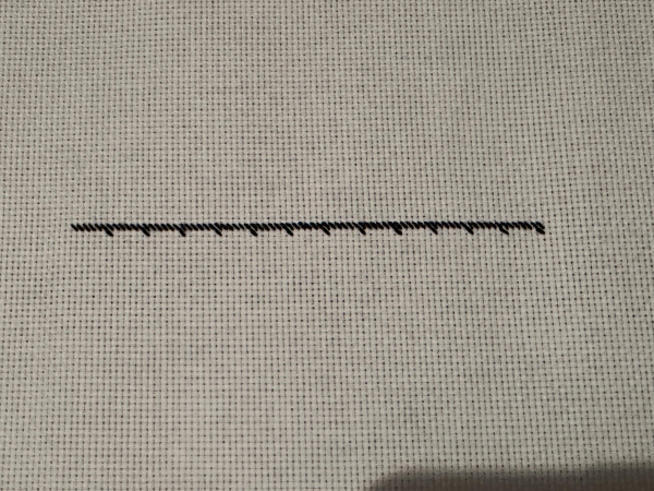 A line of half cross stitches (diagonal only) in black on white aida. It doesn’t appear to be very exciting.