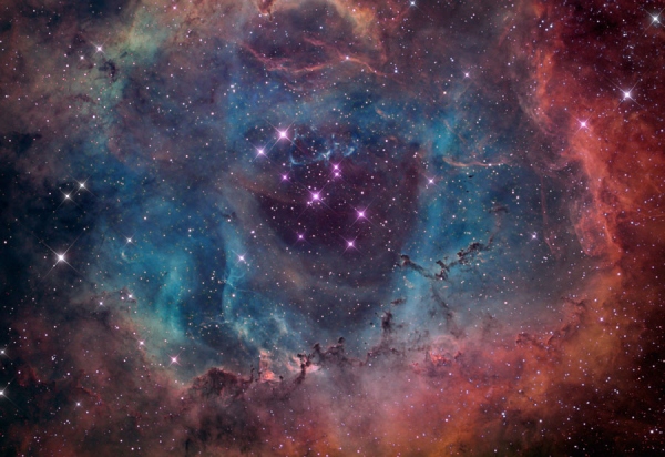 The Rosette Nebula