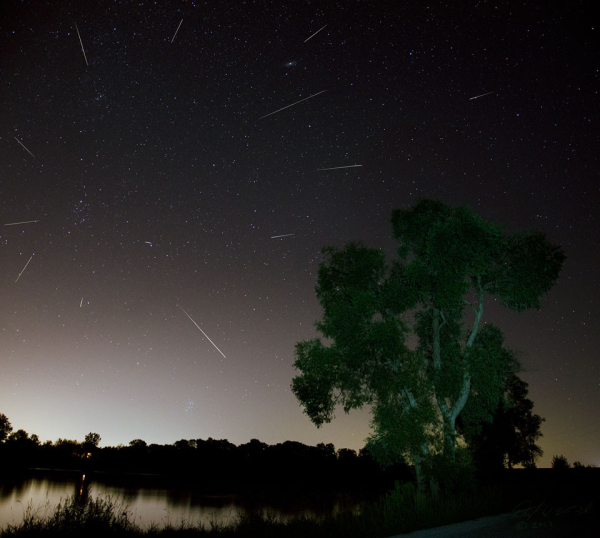 Perseid Meteors Over Ontario