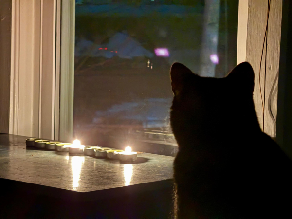 An improvised menorah made from tea lights with the shamash in the center and the first candle on the right lit. They're in front of a window. You can see the back of a cat's head looking intently at the candles.