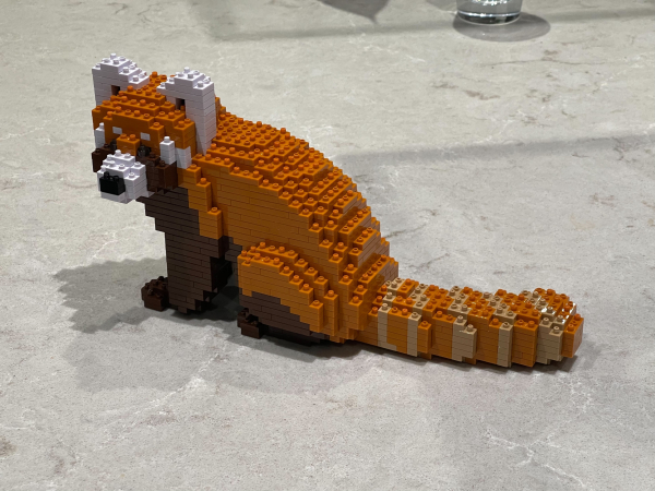 The finished, pixellated, red panda figure is about 25 cm long and 14 cm tall.