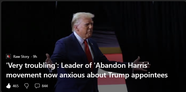 Article screenshot: Raw Story

'Very troubling': Leader of 'Abandon Harris' movement now anxious about Trump appointees

Story by Tom Boggioni