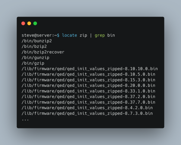 A terminal window with a command locate zip | grep bin executed. The output lists binary files related to "zip," such as /bin/bunzip2, /bin/gzip, and firmware files like /lib/firmware/qed/qed_init_values_zipped-8.10.10.0.bin. The list continues with similar entries.