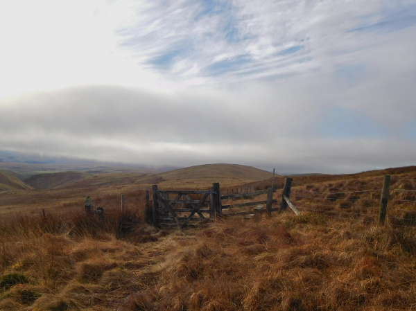 Colour photograph of a post and wire fence with a five bar wooden gate cutting across a moorland landscape of long tufty grass and rushes. There are hills beyond the gate and a mackerel sky.