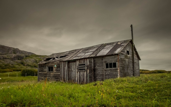 Decaying old shed. Grass. Summer.